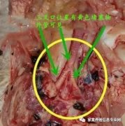 全國多地呼吸道又頻發(fā)？（雨天較多易感染）!